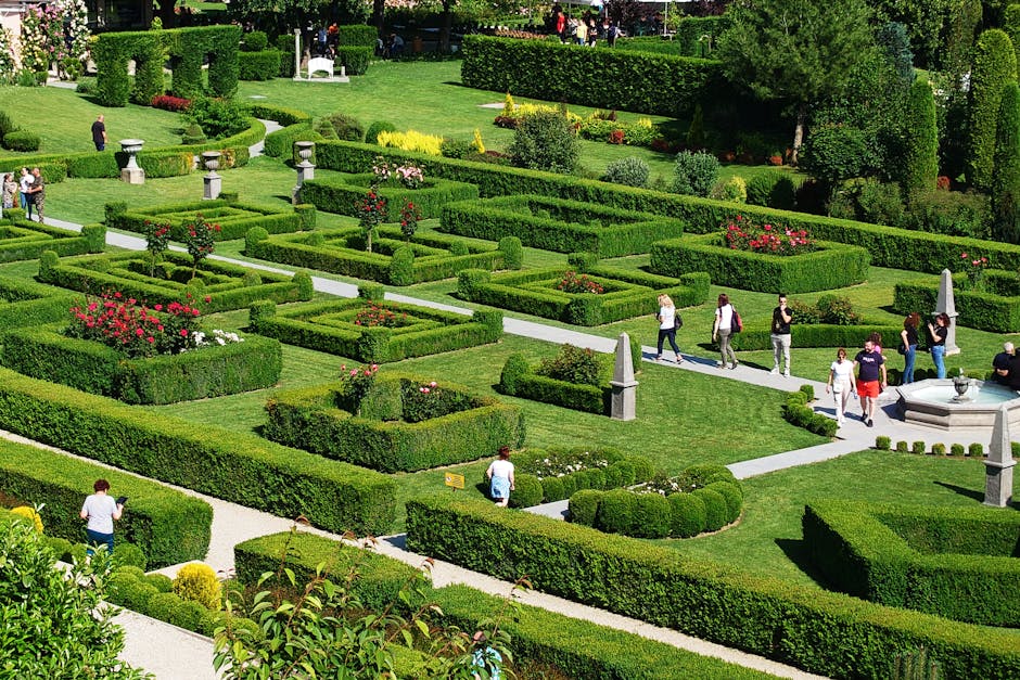 Курсы программирования и дизайна